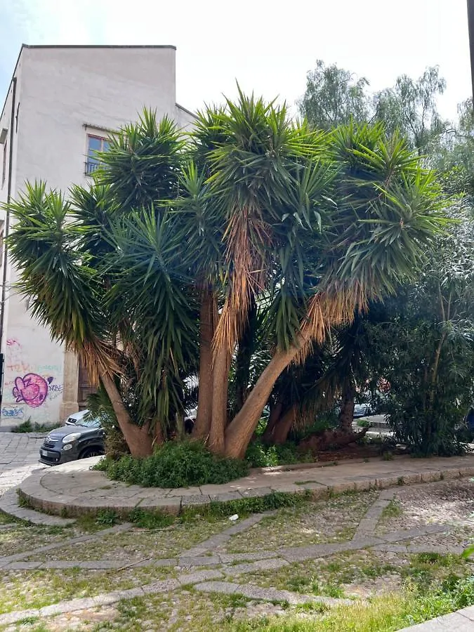 Pasetti House Apartment Palermo